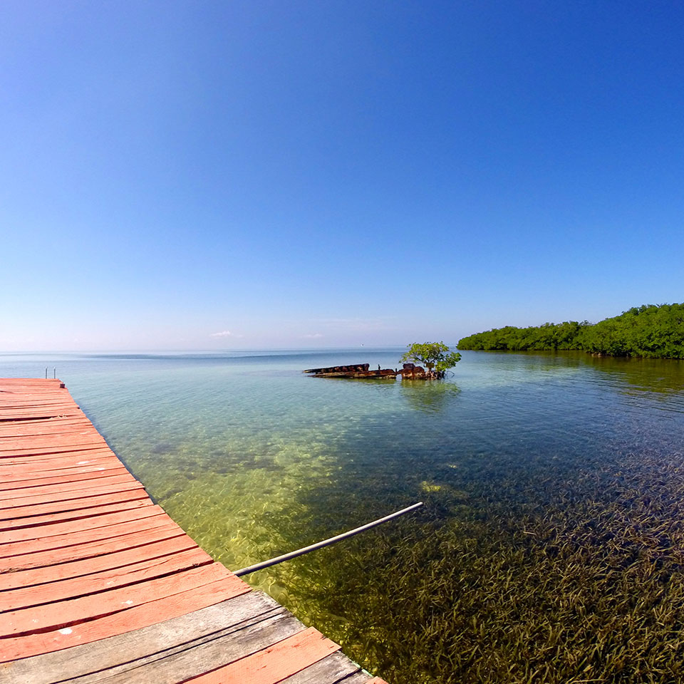 Old shipwreck near Long Caye at Lighthouse Reef Atoll Belize beside shallow clear Caribbean water and mangrove shoreline.