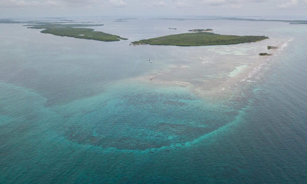 The Best Dive Sites at Lighthouse Reef