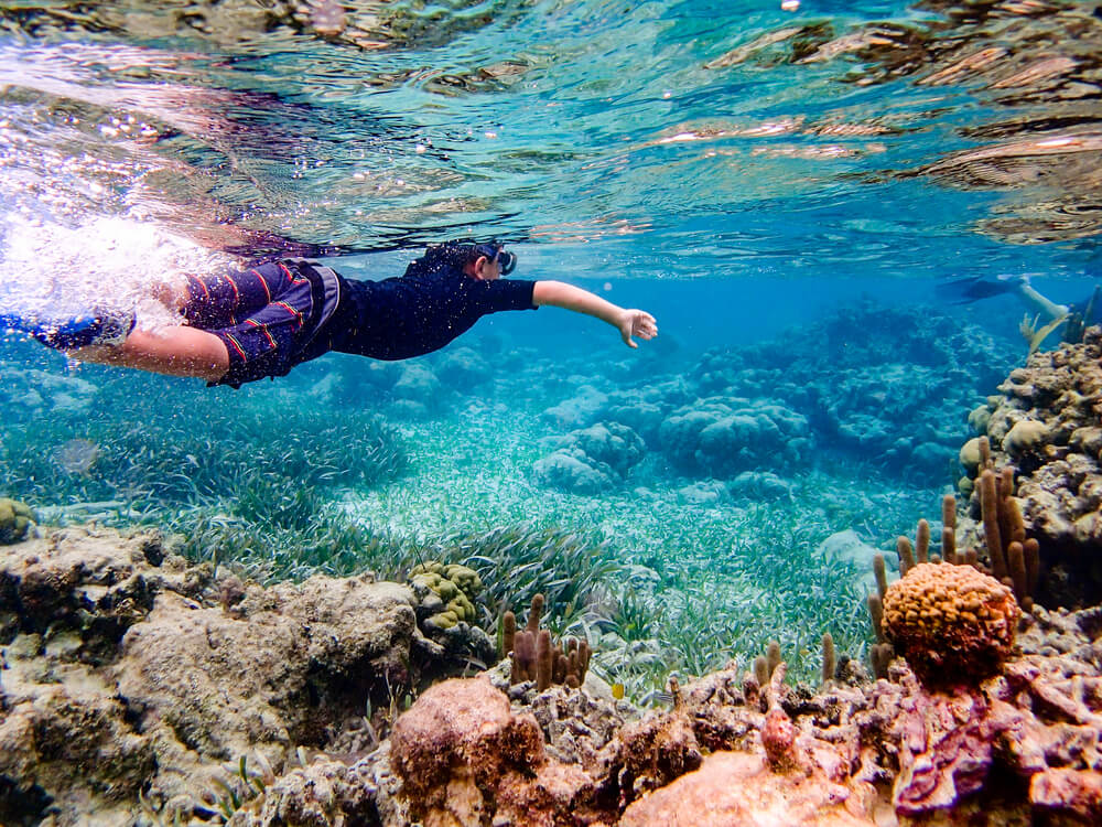 Underwater snorkeling through coral reef near Ambergris Caye, Belize