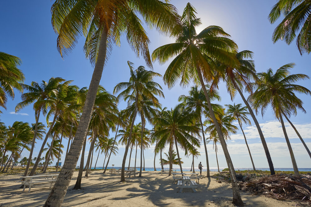 Belize - Half Moon Caye, Caribbean-Sea