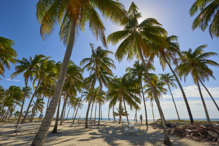 Half Moon Caye