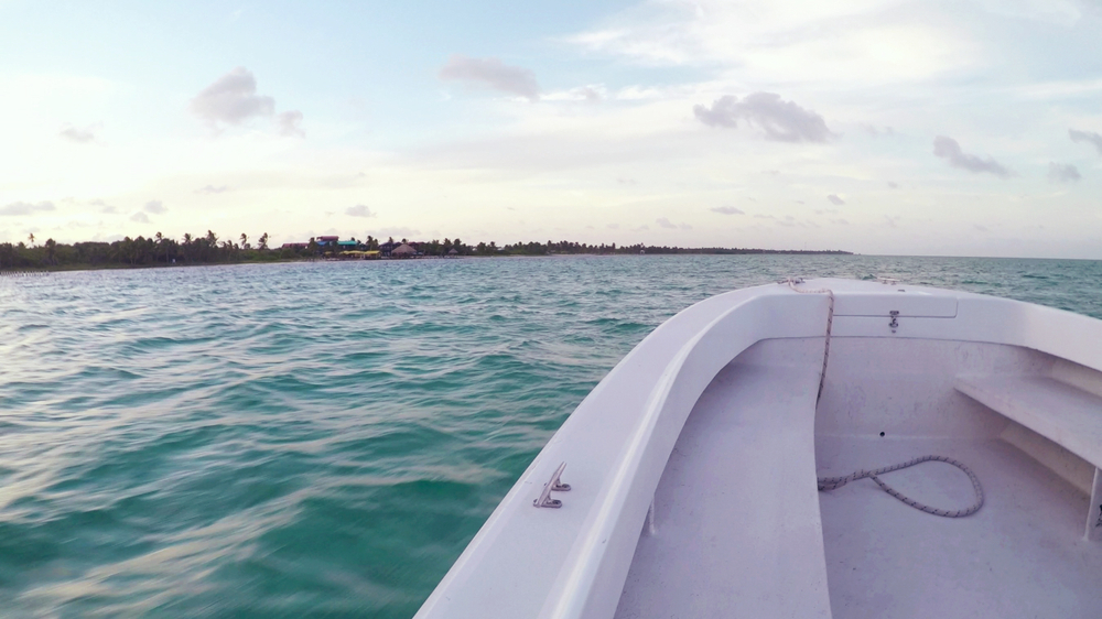 boat rides