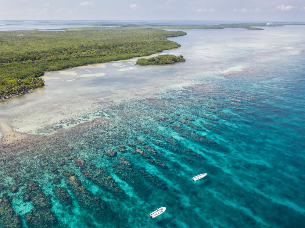 #1 dive site are Atoll in Belize