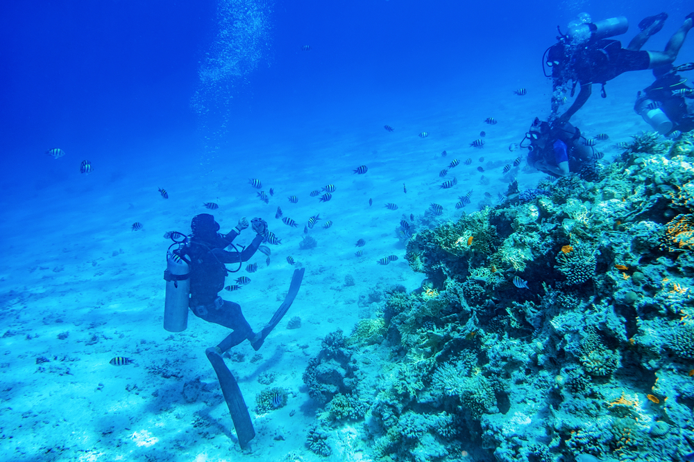 diving with divers blue hole