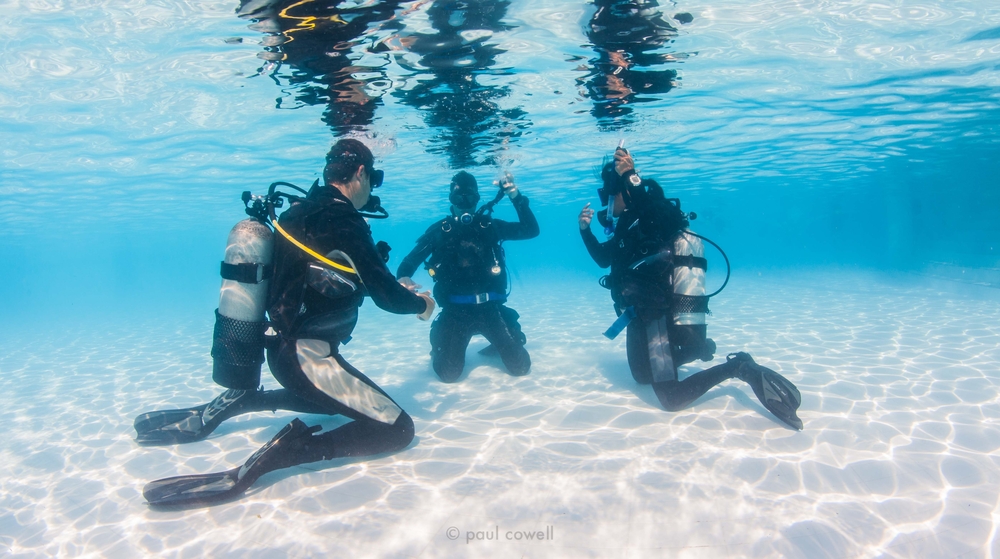 learning to dive