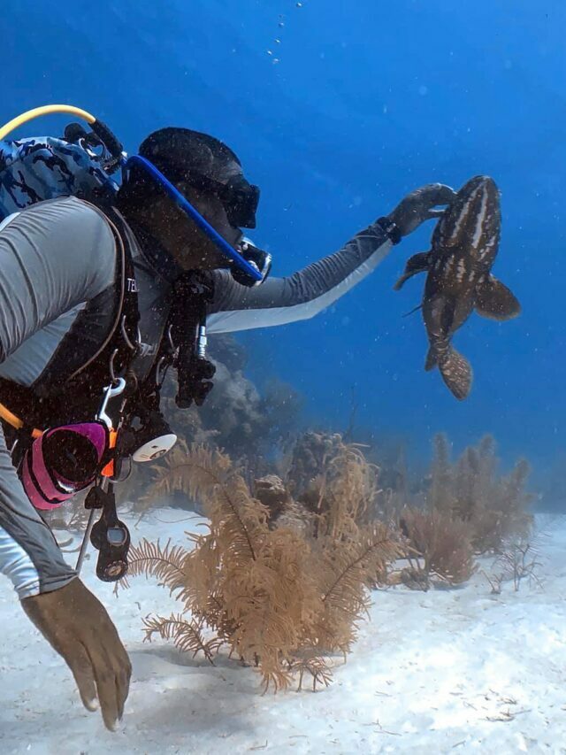 Scuba Diving