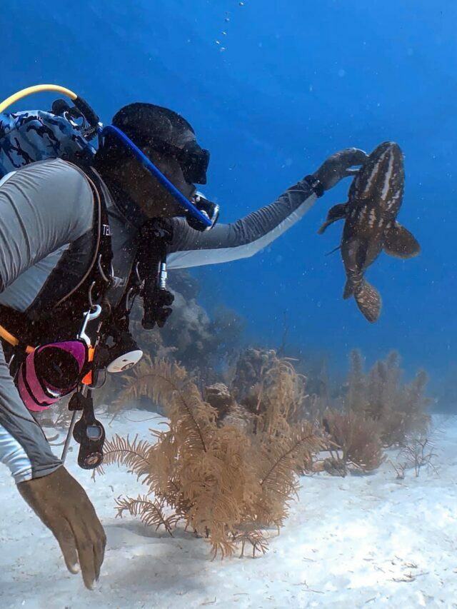 Scuba Diving