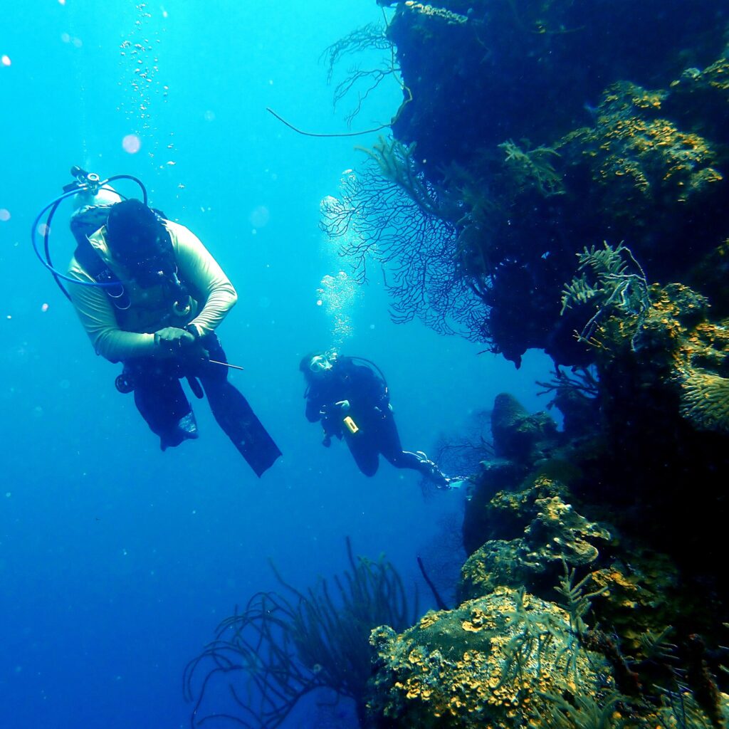 elvis scuba diving