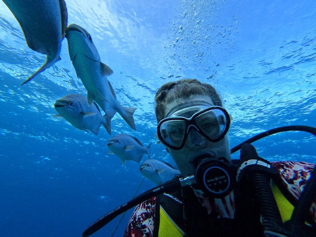 Scuba diver surrounded by schooling fish at Lighthouse Reef Atoll Belize