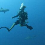 Scuba diver encountering reef sharks near the Great Blue Hole at Lighthouse Reef Atoll, Belize