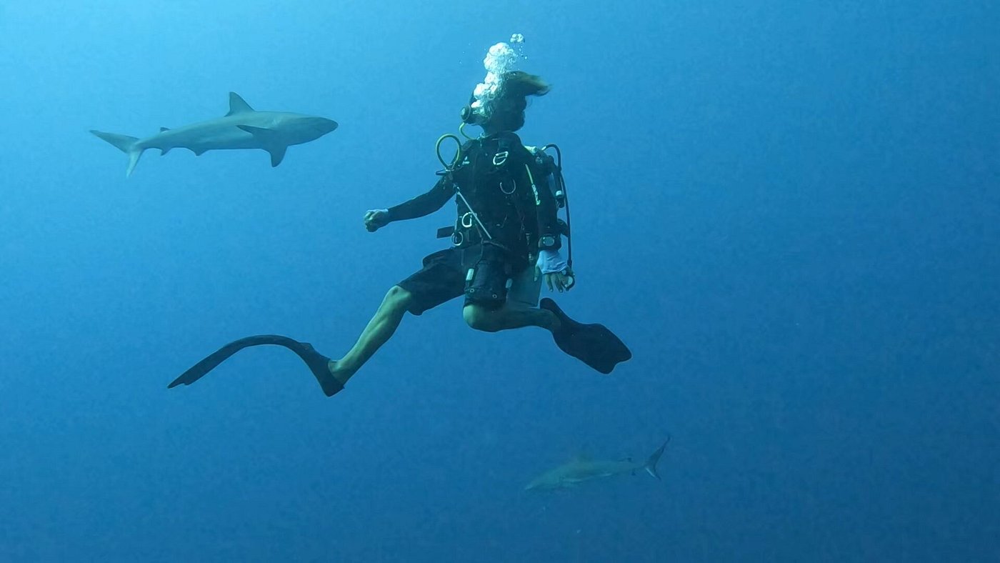 Scuba diver encountering reef sharks near the Great Blue Hole at Lighthouse Reef Atoll, Belize