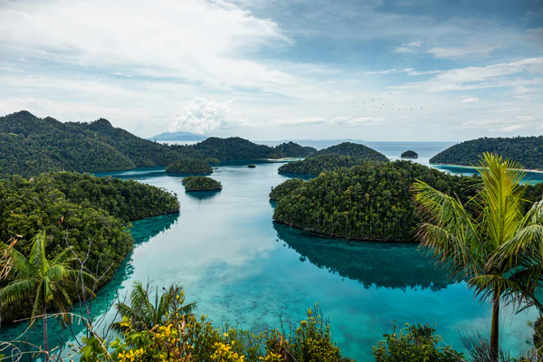 Aerial view of Raja Ampat Indonesia, one of the most biodiverse marine ecosystems in the world